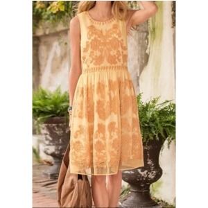 Sundance Love at First Sight Sherbet Orange Embroidered Sheer Sleeveless Dress 8